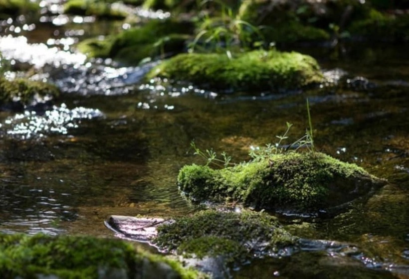 Gapyeong Suryuhwagaewon Pension