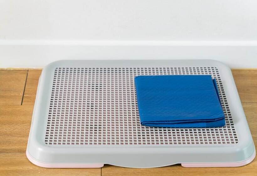 Gapyeong Oneul Yeogipension