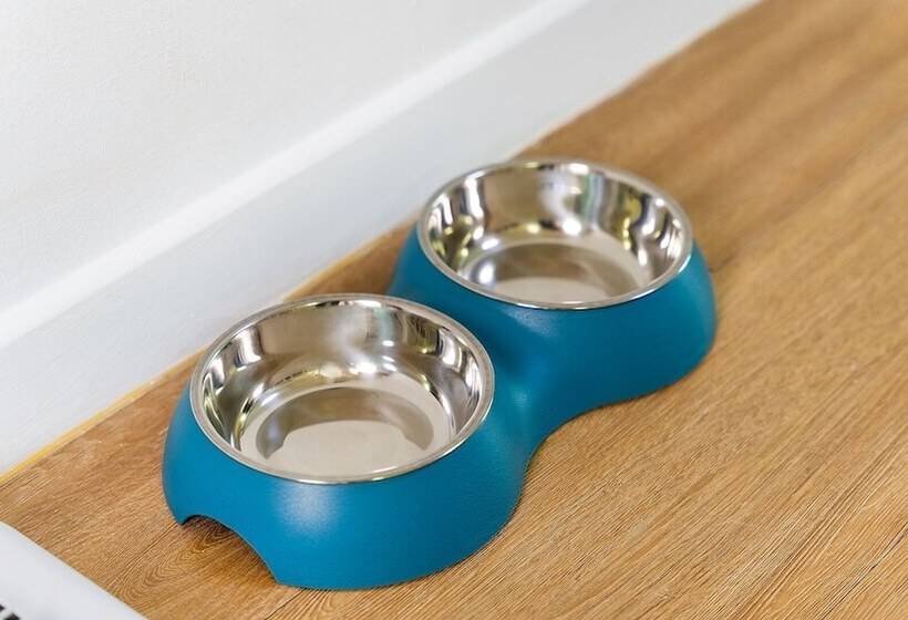 Gapyeong Oneul Yeogipension