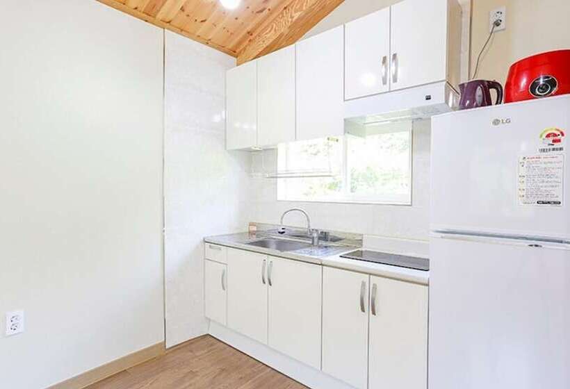 Gongju Hayan Pension