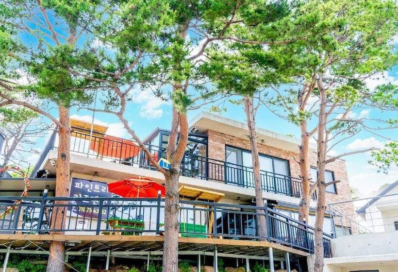 Goseong Pinetree Pension