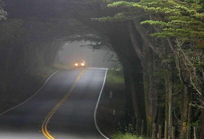 Gyeongju The Blue Sky Pension