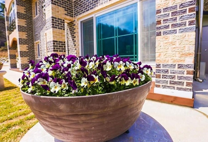 Muju Solhyanggi Pension