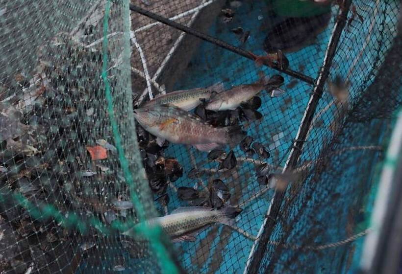 بنسيون Namhae Memory Plus Bed And Breakfast