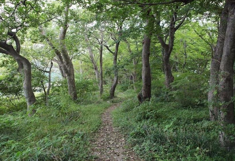 بنسيون Namhae Memory Plus Bed And Breakfast