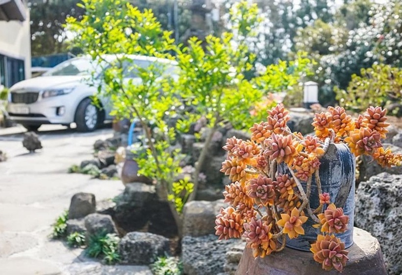 Seogwipo Haengbok Pension