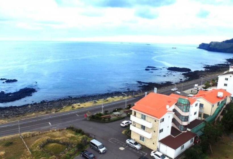 Seogwipo Hyeongjebawibada Pension