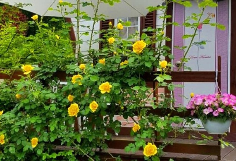 Tongyeong Morning Dew Pension