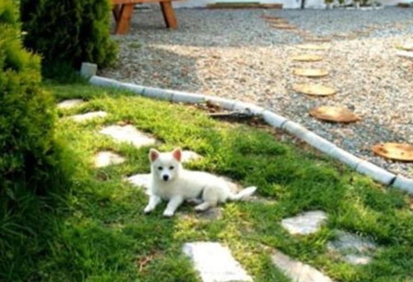 Tongyeong Morning Dew Pension