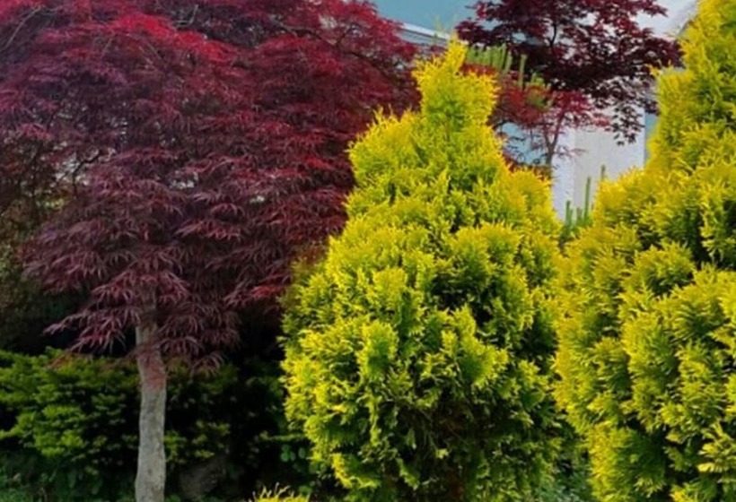 Tongyeong Morning Dew Pension