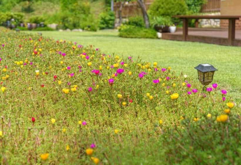 Yangpyeong Nadeul Pension