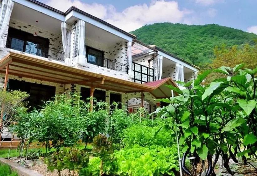 Gapyeong Dream Valley Pension