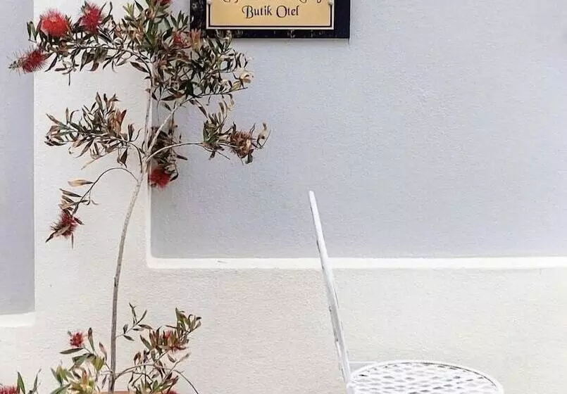 هتل Latife Hanım Konağı