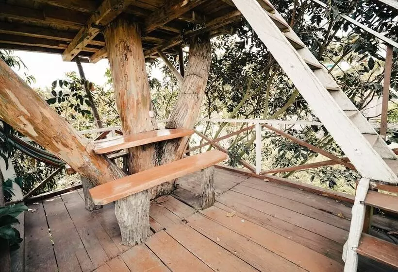 ホテル Nayon Xtream Valley By Rotamundos