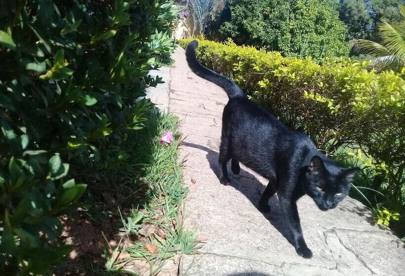 Отель Pousada Villa Balneário