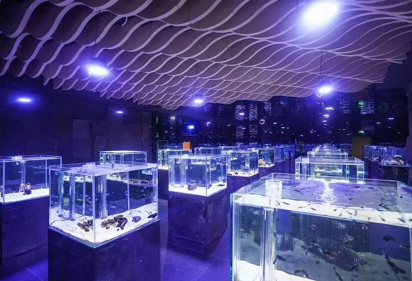 ホテル Sanya Discovery Ocean World