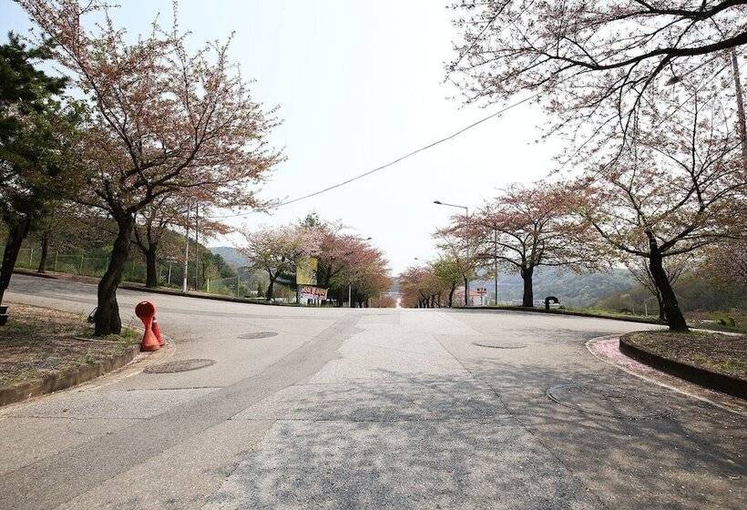 مُتل Asan Red House