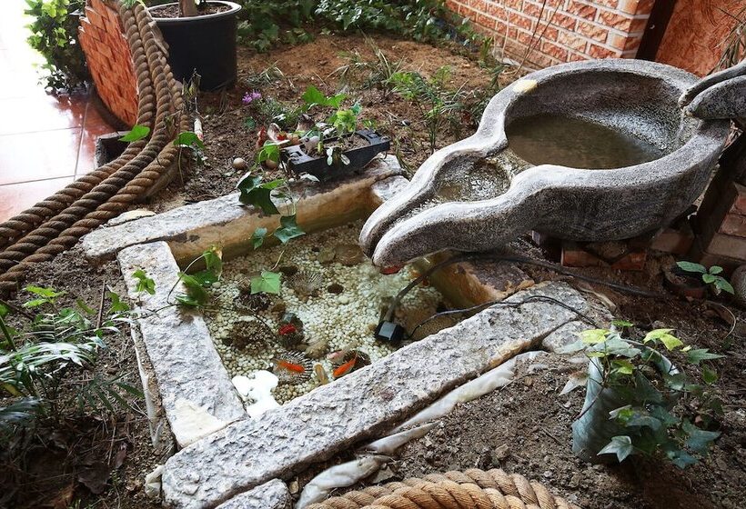 مُتل Asan Red House