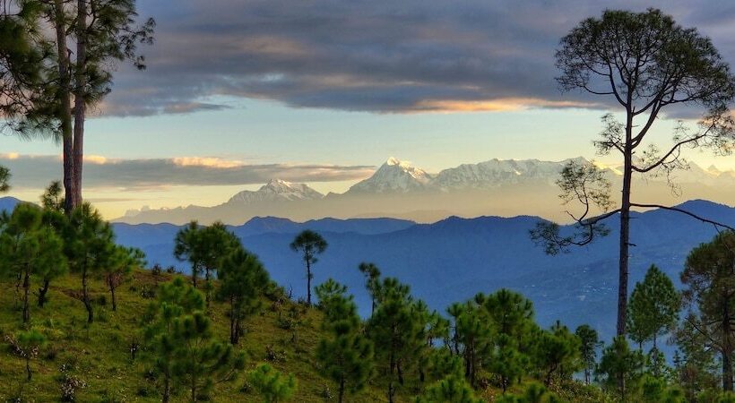 בית מלון כפרי Majkhali Woods, Ranikhet, By Himalayan Eco Lodges