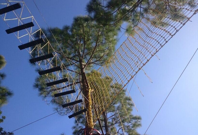 בית מלון כפרי Majkhali Woods, Ranikhet, By Himalayan Eco Lodges