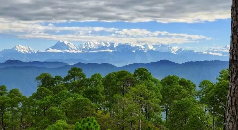 Hotelli Majkhali Woods, Ranikhet, By Himalayan Eco Lodges