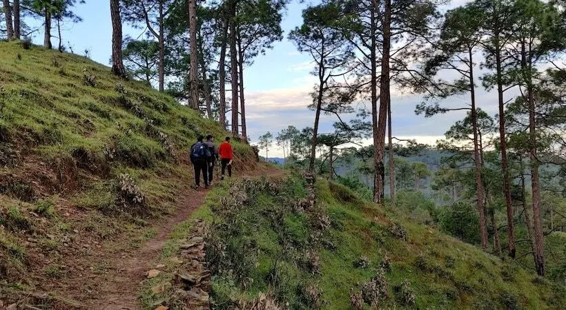Hotelli Majkhali Woods, Ranikhet, By Himalayan Eco Lodges
