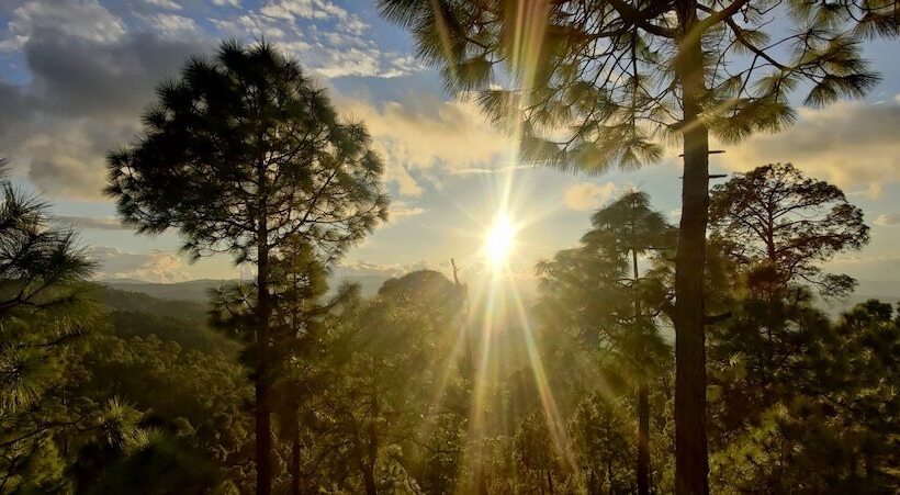 בית מלון כפרי Majkhali Woods, Ranikhet, By Himalayan Eco Lodges