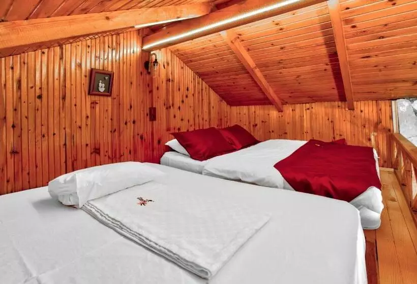 هتل Paradise Plus Agva