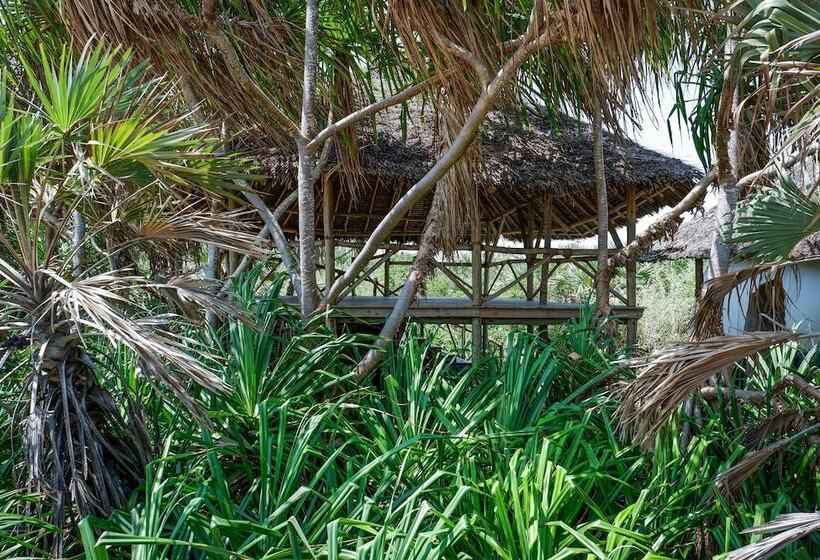 호텔 Saadani Safari Lodge Bush, River, Beach