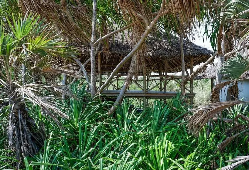 Hotelli Saadani Safari Lodge   Bush, River, Beach