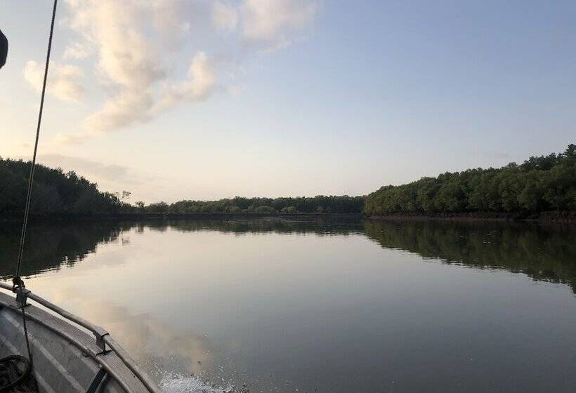 호텔 Saadani Safari Lodge Bush, River, Beach