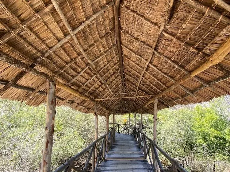 Hotelli Saadani Safari Lodge   Bush, River, Beach