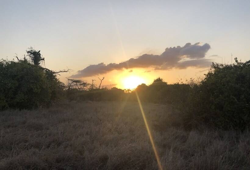 호텔 Saadani Safari Lodge Bush, River, Beach