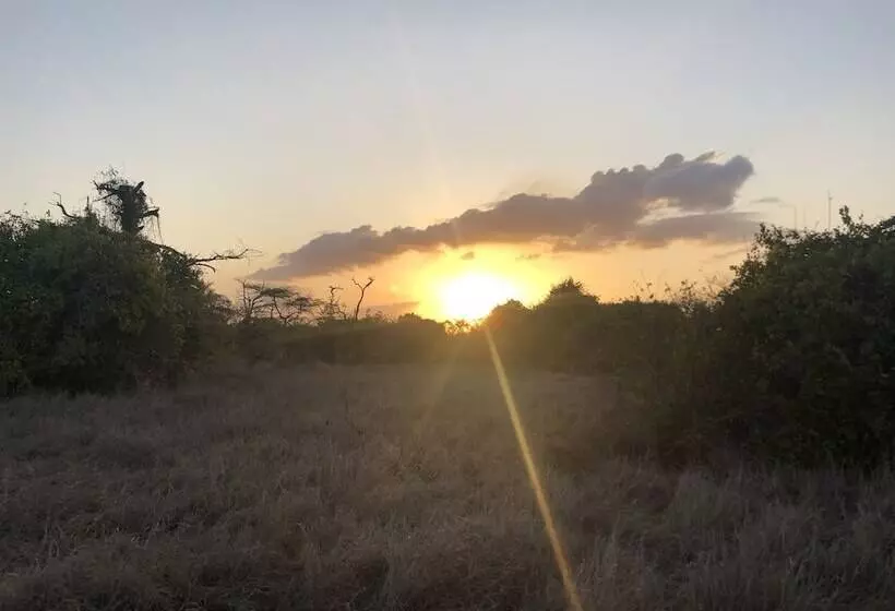 Hotelli Saadani Safari Lodge   Bush, River, Beach