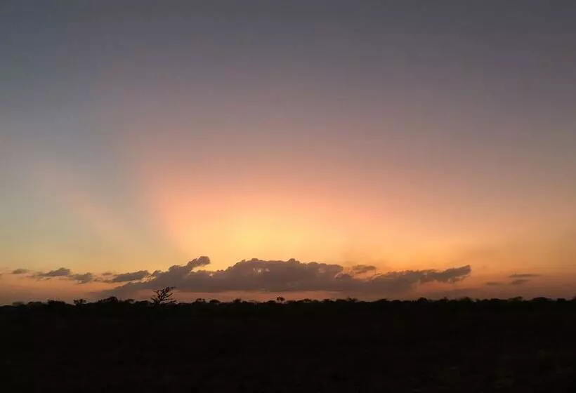 Hotelli Saadani Safari Lodge   Bush, River, Beach