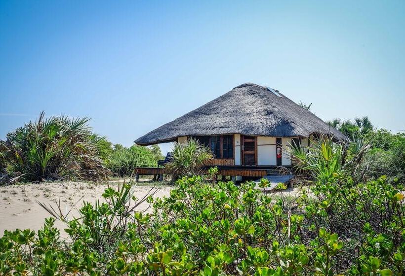 호텔 Saadani Safari Lodge Bush, River, Beach