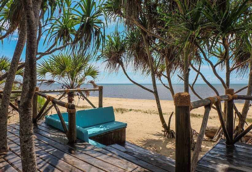 호텔 Saadani Safari Lodge Bush, River, Beach