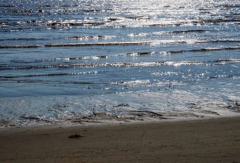 호텔 Saadani Safari Lodge Bush, River, Beach