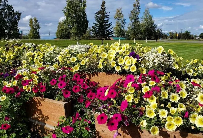 Motelli Delta Accommodations Alaska Country Inn