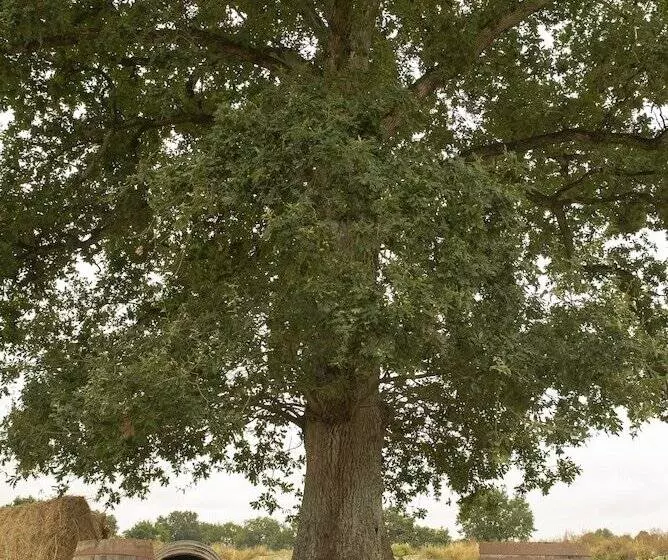 Majatalo Ecogite La Noë