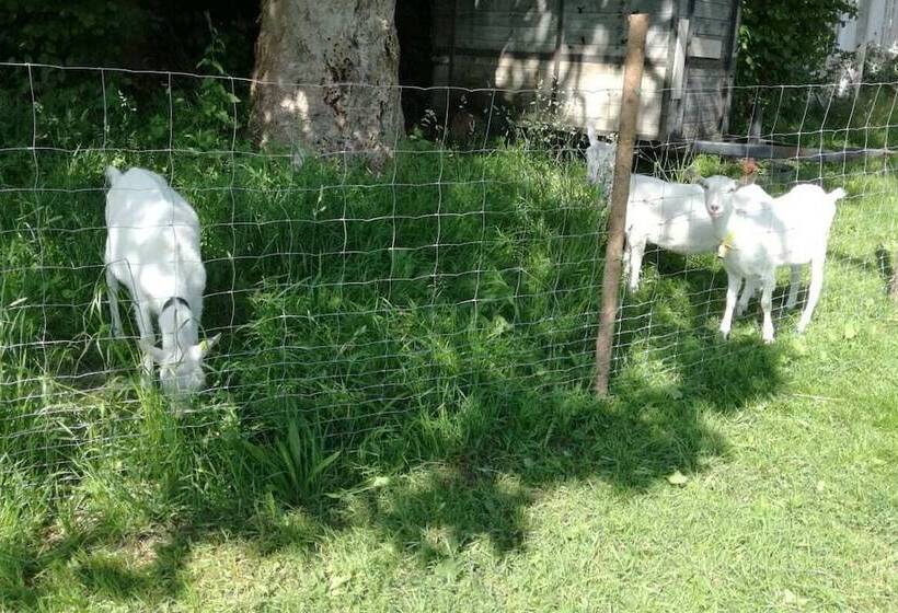 פנסיון Haus Am See