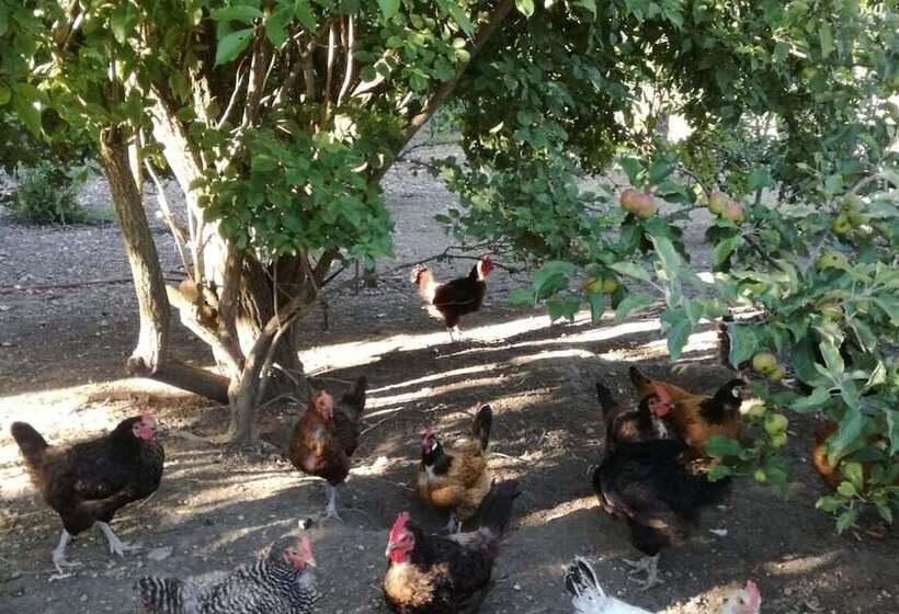 פנסיון Haus Am See