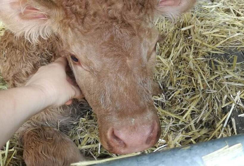 פנסיון Haus Am See