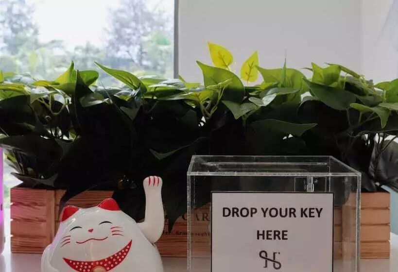 Majatalo Homi Oasis 和逸绿洲