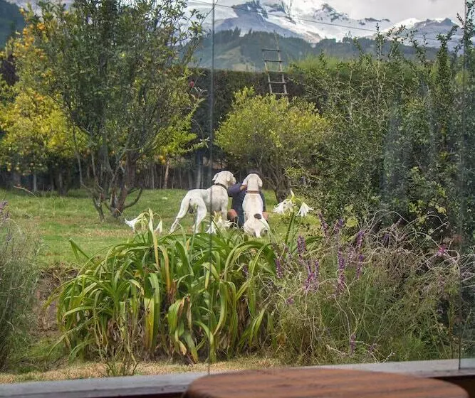 Yakumama Hostel Y Restaurant