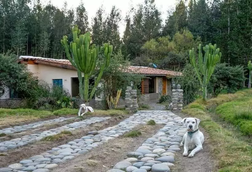 Yakumama Hostel Y Restaurant