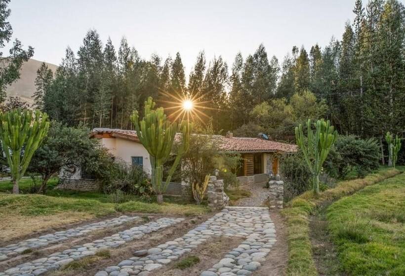 Yakumama Hostel Y Restaurant