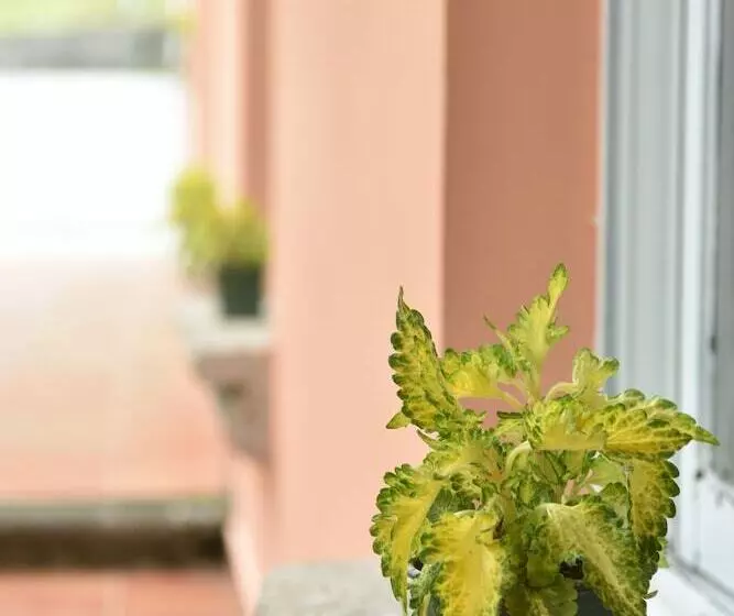 تختخواب و صبحانه Uyuca Vista Family Villa