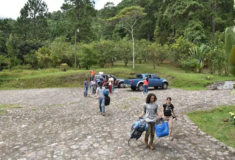 تختخواب و صبحانه Uyuca Vista Family Villa