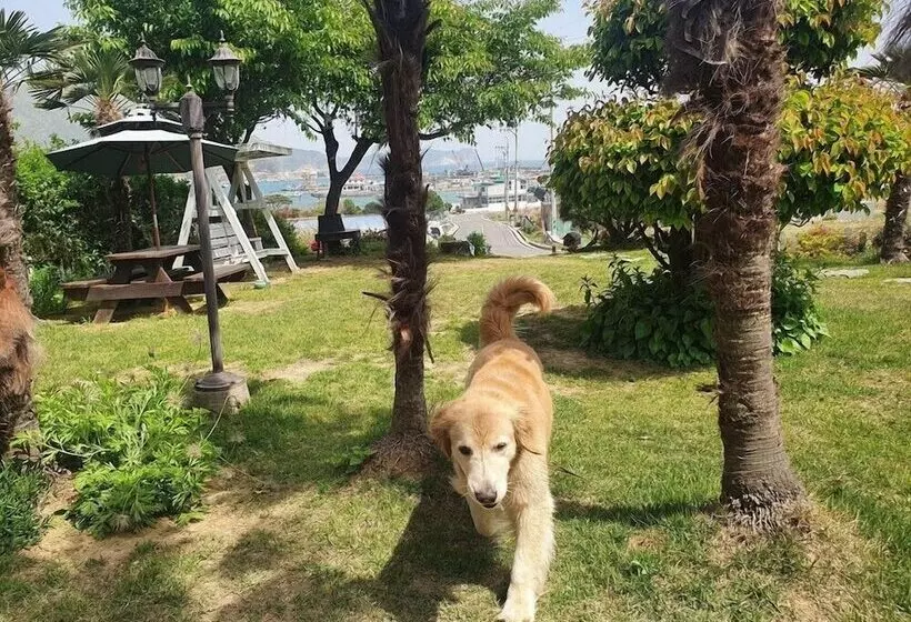 Haemaru Pension